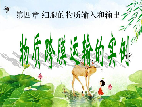 人教高中生物必修1课件:第4章第1节物质跨膜运输实例(共30张PPT)精选优质 课件