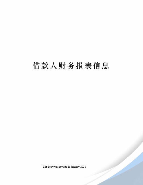 借款人财务报表信息