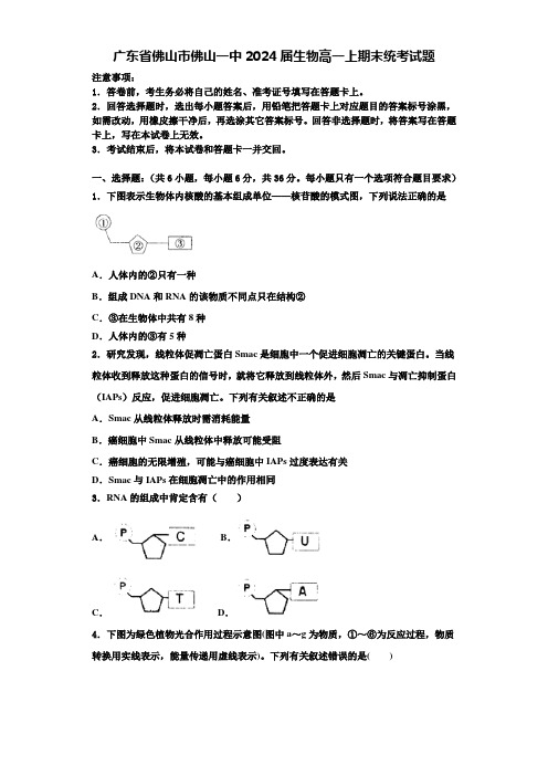 广东省佛山市佛山一中2024届生物高一上期末统考试题含解析