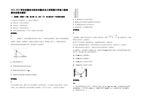 2021-2022学年安徽省合肥市安徽农业大学附属中学高三物理期末试卷含解析