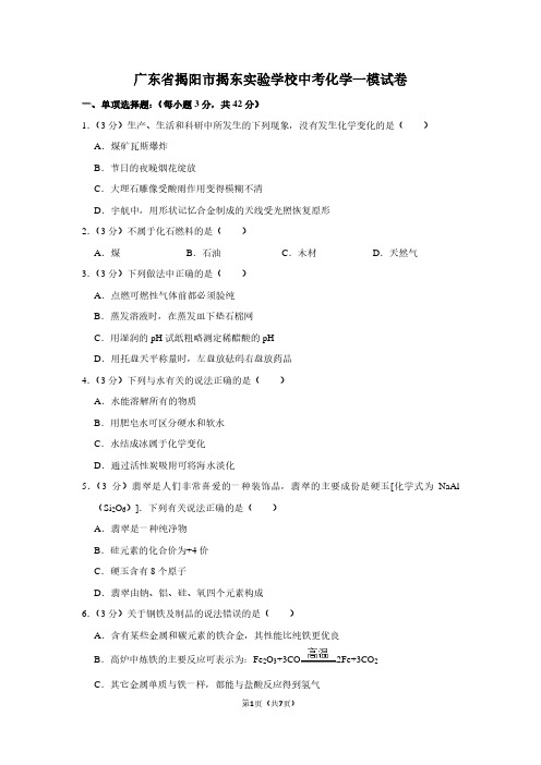 广东省揭阳市揭东实验学校中考化学一模试卷