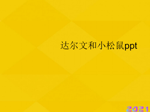 达尔文和小松鼠ppt优秀文档