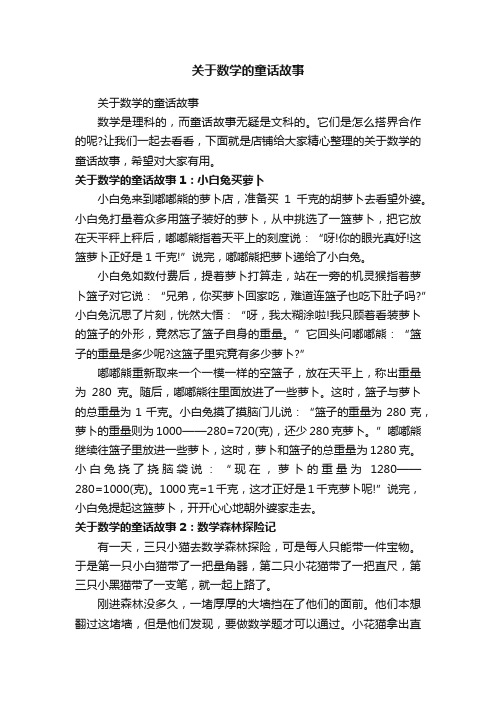 关于数学的童话故事