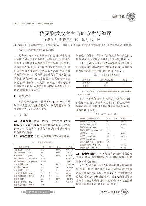 一例宠物犬股骨骨折的诊断与治疗