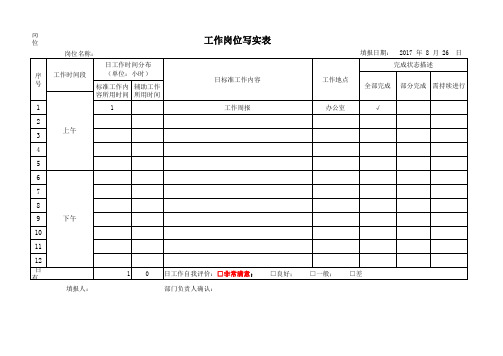 工作写实表模板