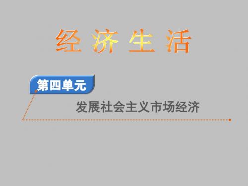 2020届高考政治[必修1]总复习精品课件：4.9走进社会主义市场经济