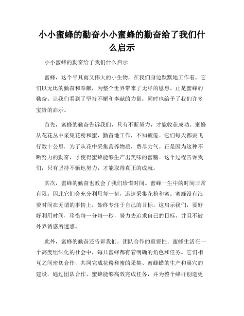 小小蜜蜂的勤奋小小蜜蜂的勤奋给了我们什么启示