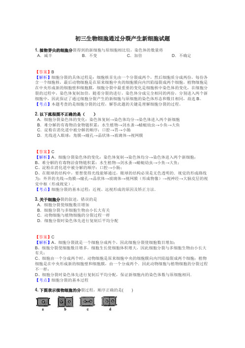 初三生物细胞通过分裂产生新细胞试题
