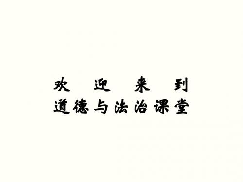 【人教版】初中思品八年级下册5.1隐私和隐私权(课件2)