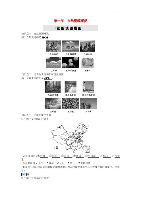 湘教版地理八年级上册3.1《自然资源概况》练习题