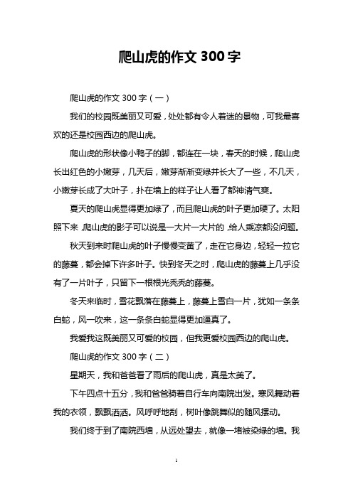 爬山虎的作文300字