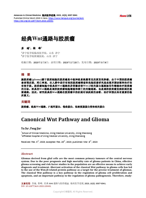 经典Wnt_通路与胶质瘤