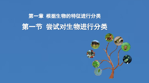 生物人教八年级上册 第六单元《生物的多样性及其保护》第一章 第一节 尝试对生物进行分类 精品课件