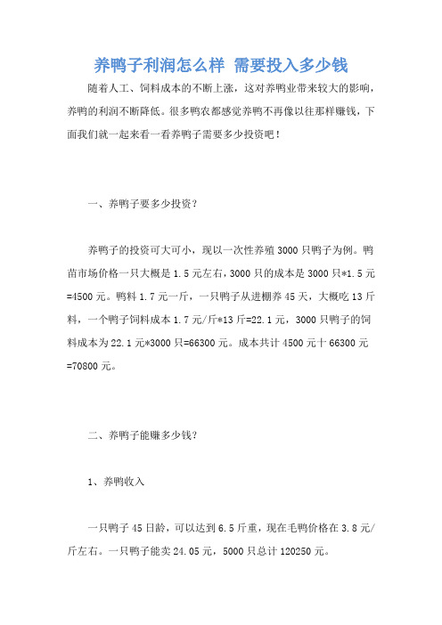 养鸭子利润怎么样 需要投入多少钱