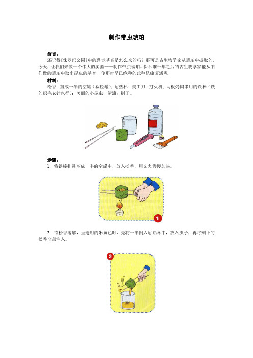 制作带虫琥珀