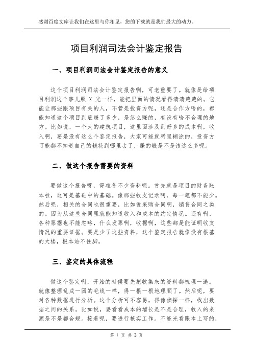 项目利润司法会计鉴定报告