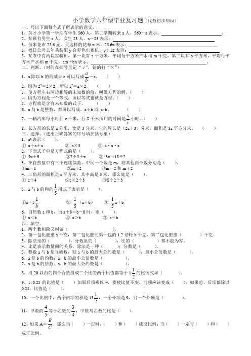 小学数学六年级毕业复习题1代数初步知识