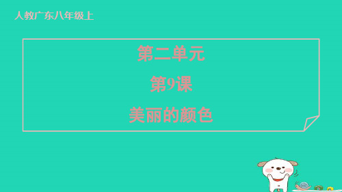 广东省2024八年级语文上册第二单元9美丽的颜色课件新人教版