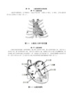 心电图超级学习法