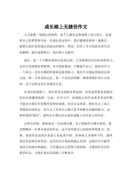 成长路上无捷径作文