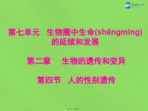 八年级生物下册 第七单元 第二章 第四节 人的性别遗传课件 新人教版[2]