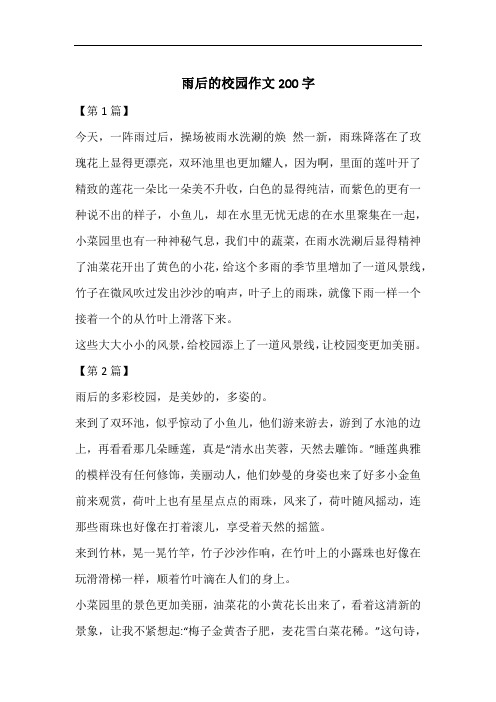 雨后的校园作文200字