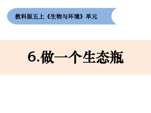 教科版五年级上册科学1-6《做一个生态瓶》