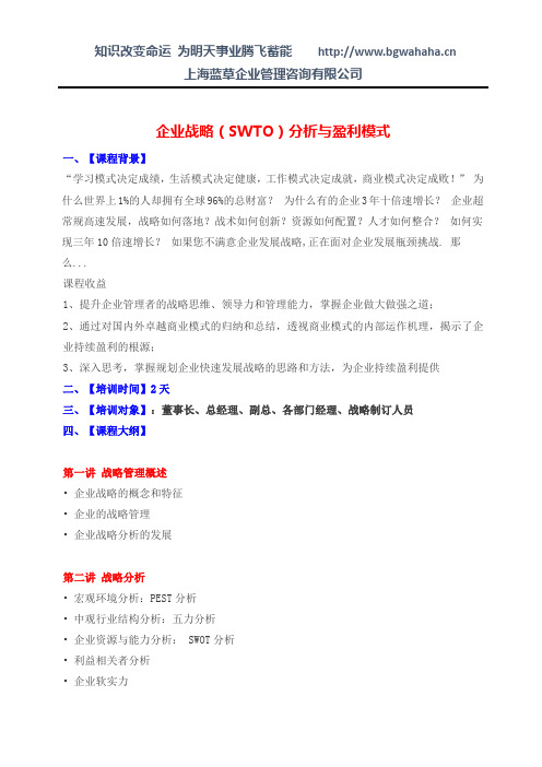 企业战略(SWTO)分析与盈利模式