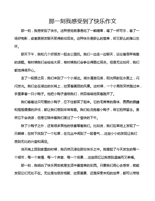 那一刻我感受到了快乐作文