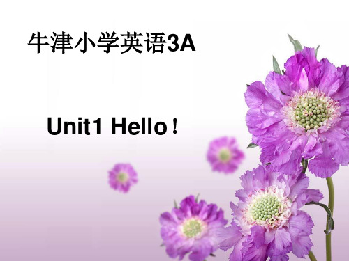 三年级上英语课件-Unit 1 Hello! _苏教牛津版