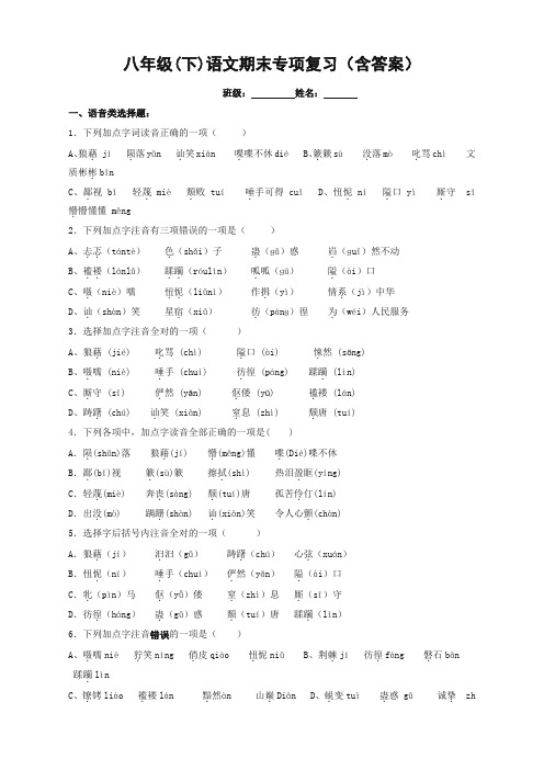 部编版八年级语文下册期末专项总复习(冲刺必备)