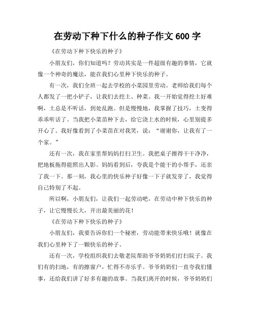 在劳动下种下什么的种子作文600字