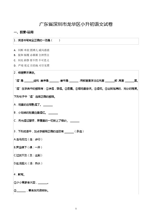 广东省深圳市龙华区小升初语文试卷