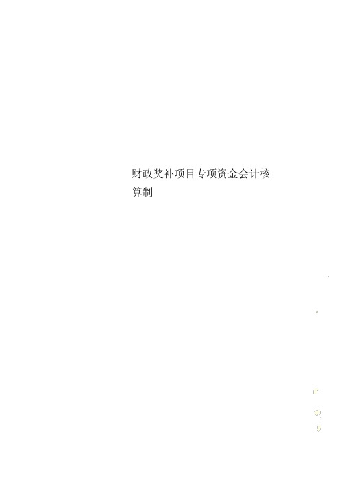 财政奖补项目专项资金会计核算制