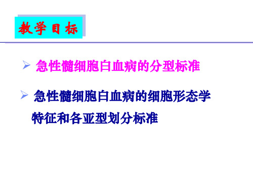 急性髓细胞白血病19