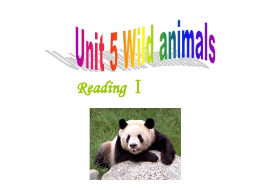 牛津译林英语八年级上册unit5Reading Ⅰ (共26张PPT)