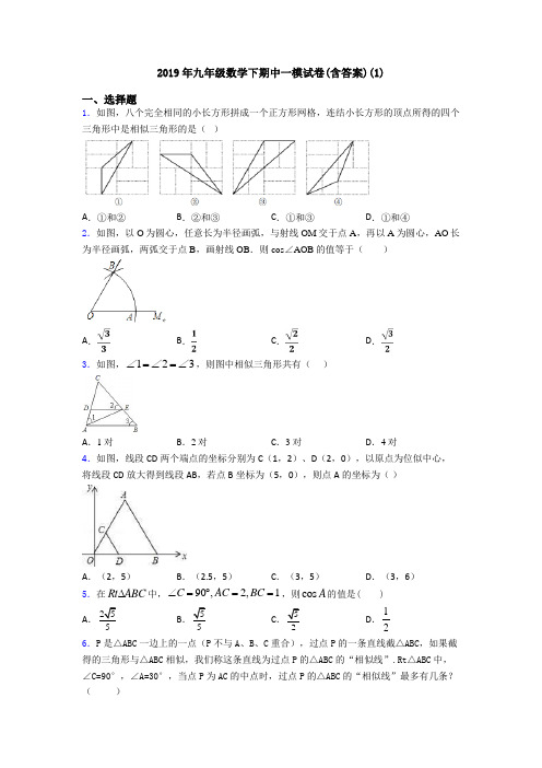 2019年九年级数学下期中一模试卷(含答案)(1)