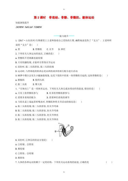 北师大版八年级生物上册15.2动物运动的形成第2课时课后习题