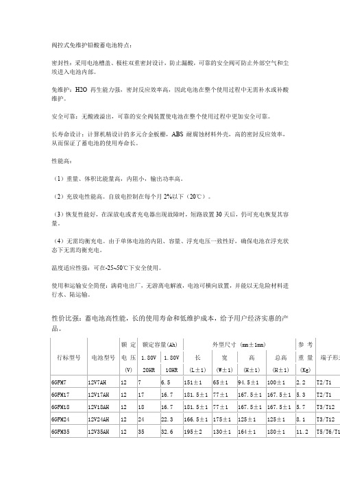 阀控式免维护铅酸蓄电池特点