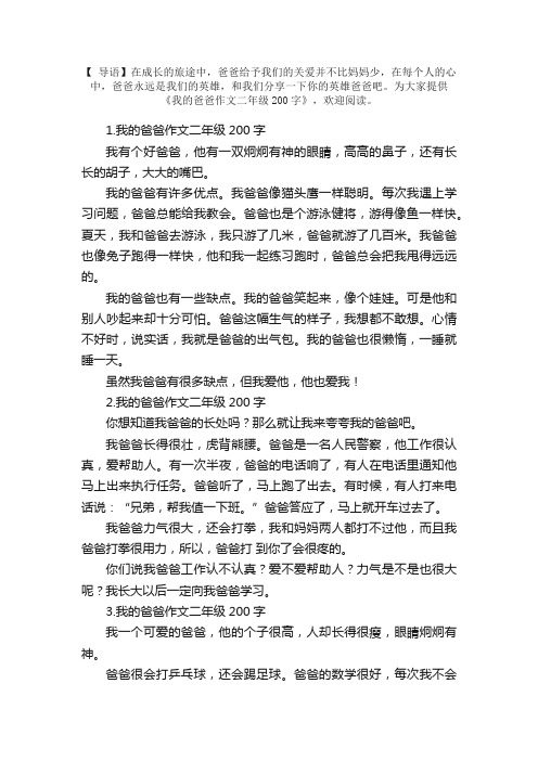 我的爸爸作文二年级200字