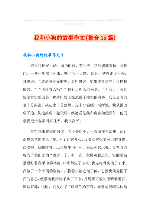 我和小狗的故事作文(集合15篇)