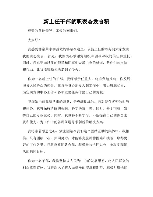 新上任干部就职表态发言稿