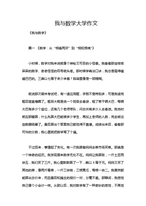 我与数学大学作文