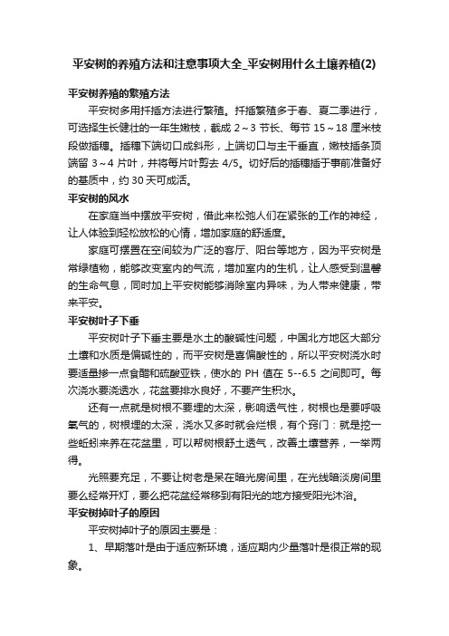 平安树的养殖方法和注意事项大全_平安树用什么土壤养植（2）