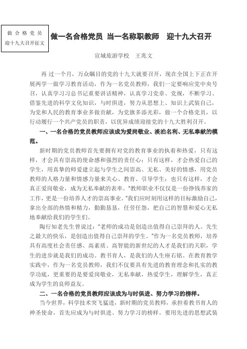 做一个合格党员_当一名称职教师