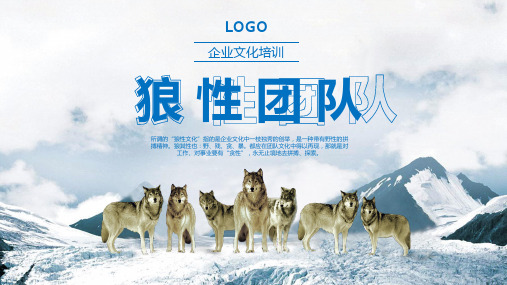 狼文化企业文化培训简约商务蓝色系通用静态PPT模板素材方案