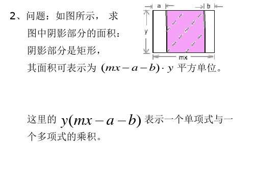 七年级数学整式的乘法4(PPT)2-2