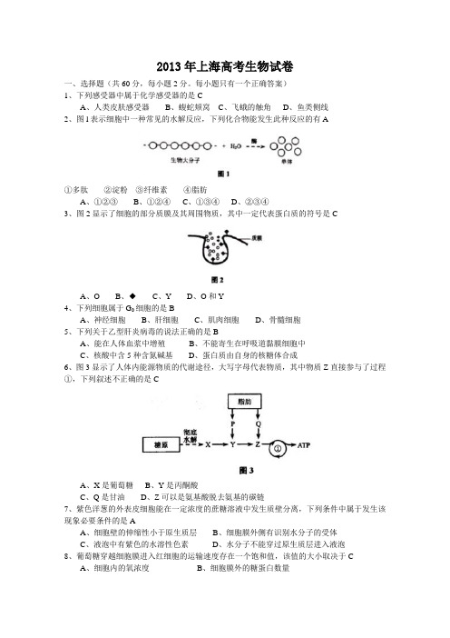 2013年全国高考生物试题及答案-上海卷