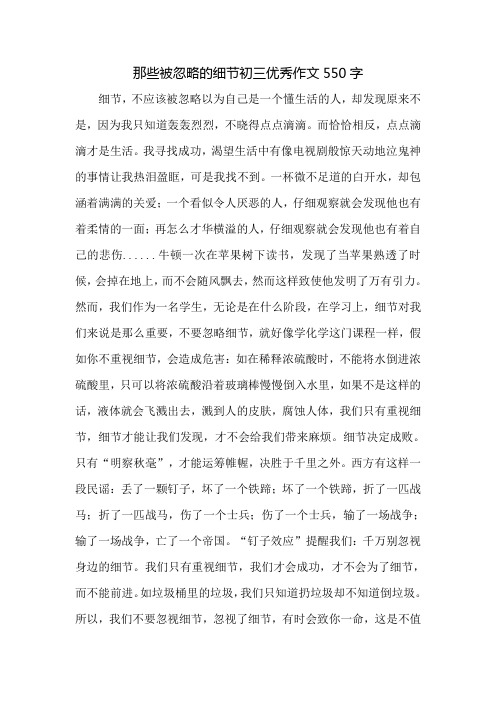 那些被忽略的细节初三优秀作文550字