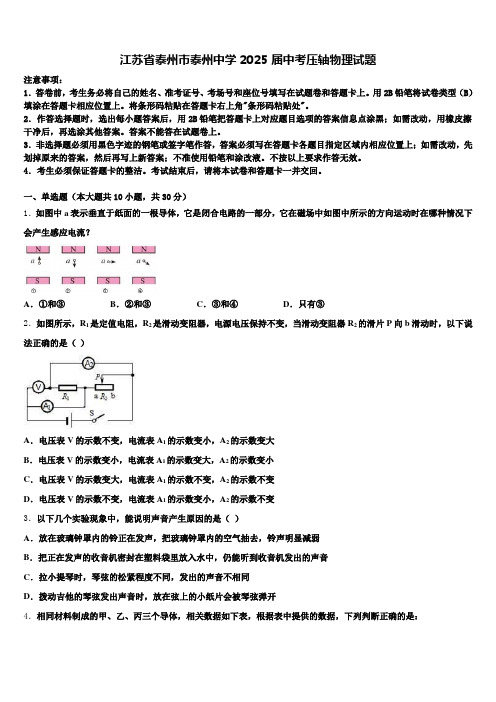 江苏省泰州市泰州中学2025届中考压轴物理试题含解析